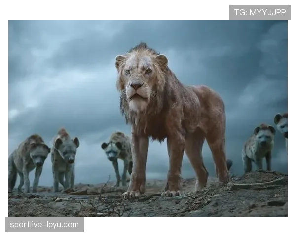 非洲雄狮崛起:国家队昵称背后的荣耀与精神 非洲雄狮崛起:国家队昵称背后的荣耀与精神